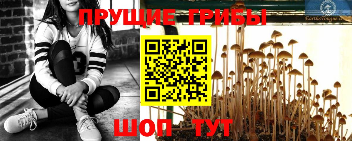 Снежинск  Галлюциногенные грибы GOLDEN TEACHER  сколько стоит  Вход с VPN 